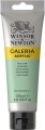 094376986914-W&amp;N GALERIA TUBE 120ML PALE OLIVE.JPG