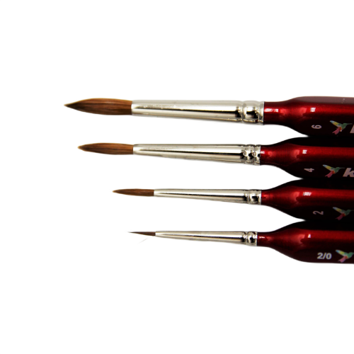 retuszerski kolibri.png