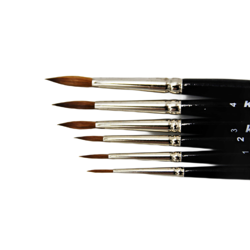 naturalny kolibri.png